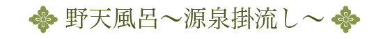 野天風呂源泉掛流し